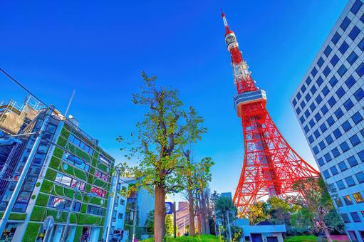 港区（東京タワー）の写真